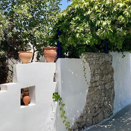 Iris Studios Archangelos  Exterior foto