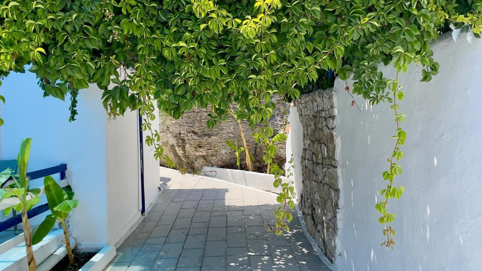 Iris Studios Archangelos  Exterior foto